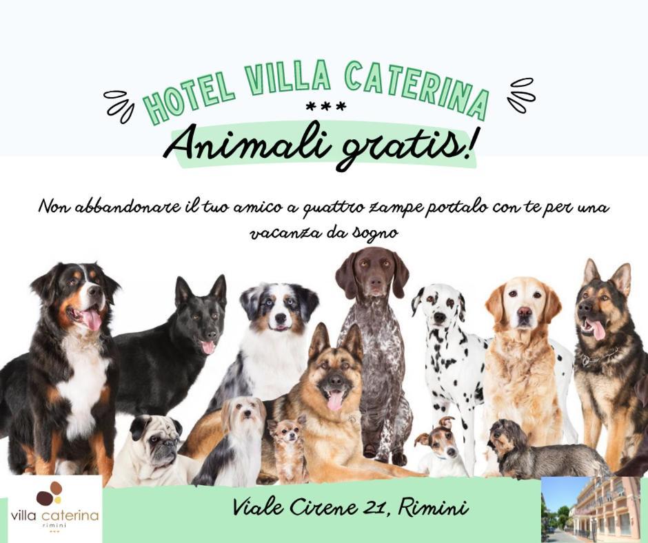 Hotel Villa Caterina Rimini Ngoại thất bức ảnh